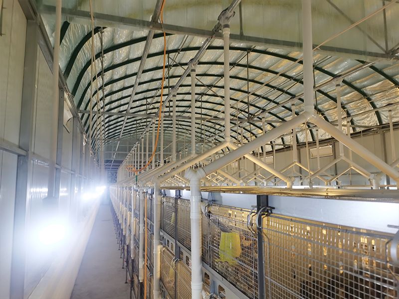 層疊式自動化養(yǎng)殖設(shè)備